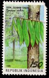 [Flora and Fauna, type BIF]