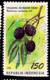[Flora and Fauna, type BIH]