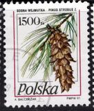 [Stamp Issues for Postcards: Pine Trees, Tipo DER]