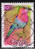 [Fauna and Flora - Birds, 유형 ATB]