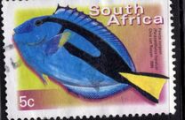 [Fauna and Flora - Fish, tyyppi ASI]