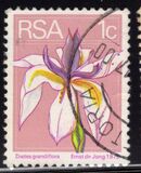 [Flora and Fauna, type NG]