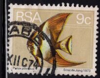 [Flora and Fauna, type NN]