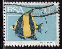 [Flora and Fauna, type NO]