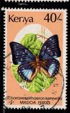 [Butterflies, type PN]