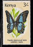 [Butterflies, type PG]