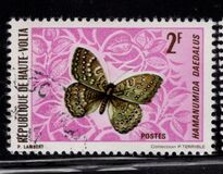 [Butterflies, type IZ]