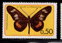 [Butterflies, Tipi FS]