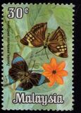 [Butterflies, type AT]