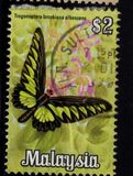 [Butterflies, type AX]