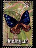 [Butterflies, type AS]
