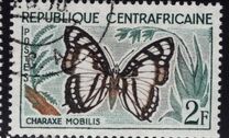[Butterflies, タイプ F]