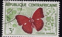 [Butterflies, タイプ G]
