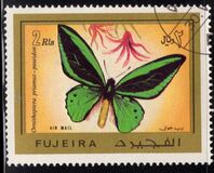 [Butterflies, Scrivi AAZ]