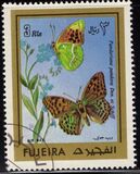 [Butterflies, Scrivi ABA]