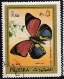 [Butterflies, Scrivi ABB]