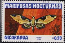 [Butterflies, type BHA]