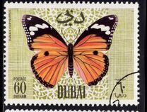 [Butteflies, jenis GM]