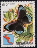 [Butterflies, type XCI]