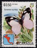 [Butterflies, type XCH]