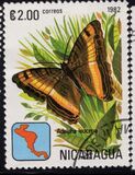 [Butterflies, type XCK]