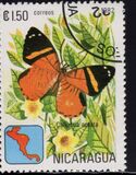 [Butterflies, type XCJ]