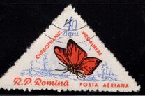 [Butterflies & Moths, Tipi BTI]