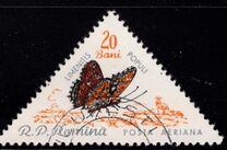 [Butterflies & Moths, Tipi BTH]
