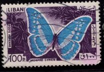 [Airmail - Butterflies, type MD]