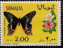 [Butterflies, סוג FC]