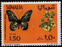 [Butterflies, סוג FB]