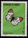 [Butterflies, type BX]