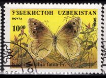 [Butterflies and Moths, type CK]