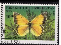 [Butterflies and Moths, type CH]