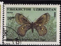 [Butterflies and Moths, type CI]