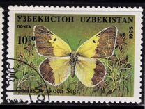 [Butterflies and Moths, type CJ]