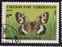 [Butterflies and Moths, type CG]