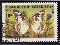 [Butterflies and Moths, type CL]
