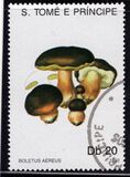 [Fungi, tyyppi AAZ]
