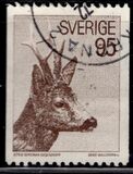 [European Roe Deer, tyyppi MK]