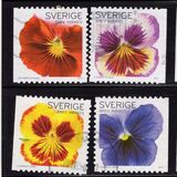 [Flowers - Self Adhesive, type CGN]
