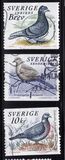 [Doves and Pigeons, type BTG]