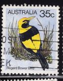 [Birds, Tip UH]