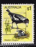 [Birds, Tip UK]