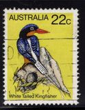 [Birds, tip TW]