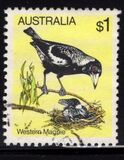 [Birds, Tip UK]