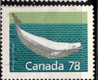 [Canadian Mammals, jenis AOK]