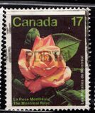 [Montreal Flower Show, Вид AAO]