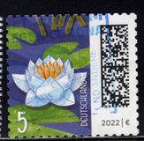 [Мир писем, тип DQN]