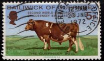 [Gardening and Agriculture, סוג Y]